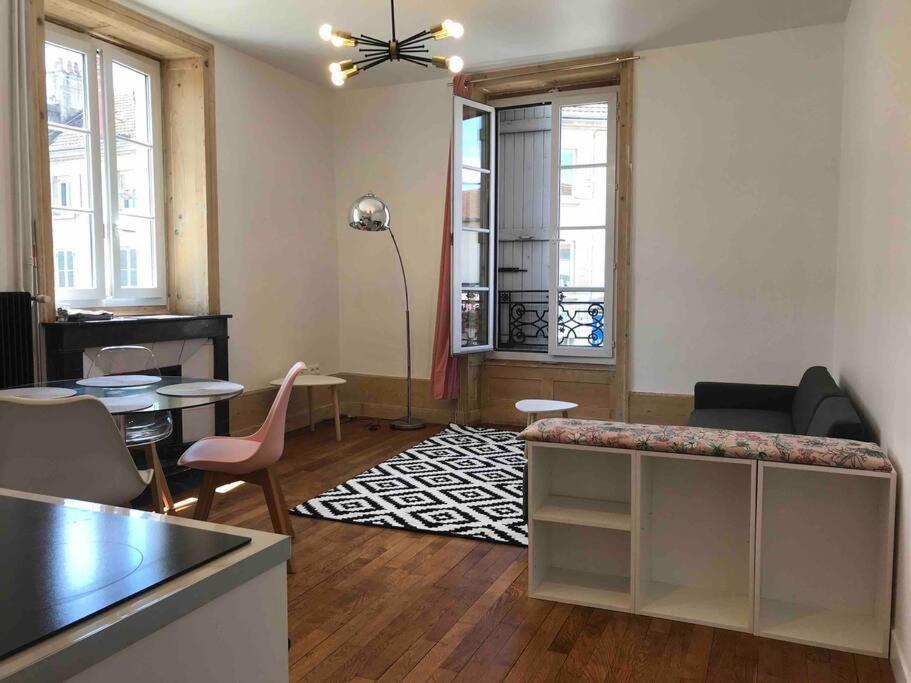 Superbe T2 En Bords De Saone Apartment